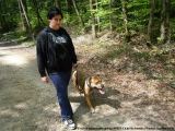 fruehling_apbt_club_2009_013