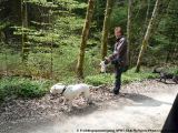 fruehling_apbt_club_2009_018