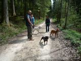 fruehling_apbt_club_2009_019