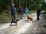 fruehling_apbt_club_2009_022