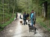 fruehling_apbt_club_2009_024