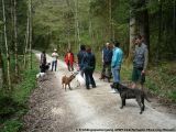 fruehling_apbt_club_2009_025