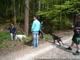 fruehling_apbt_club_2009_029