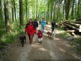 fruehling_apbt_club_2009_003