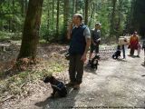 fruehling_apbt_club_2009_032