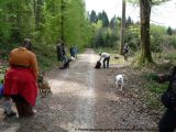 fruehling_apbt_club_2009_034