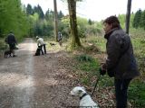 fruehling_apbt_club_2009_036