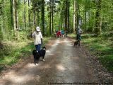 fruehling_apbt_club_2009_004