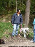 fruehling_apbt_club_2009_050