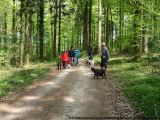 fruehling_apbt_club_2009_005