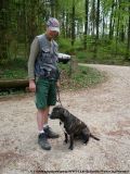 fruehling_apbt_club_2009_055