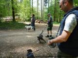fruehling_apbt_club_2009_008