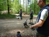 fruehling_apbt_club_2009_008