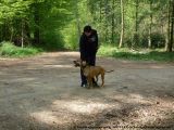 fruehling_apbt_club_2009_009